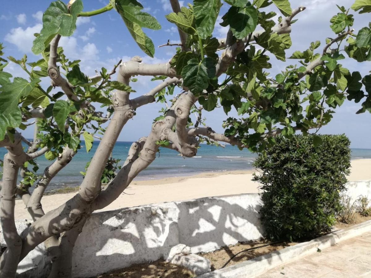 Dimora Grazia In Riva Al Mare Apartment Monopoli Exterior foto